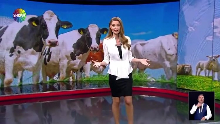 Satılamayan kurbanlıkları ESK alacak!