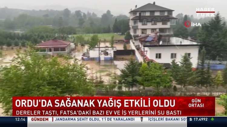 Ordu sular altında kaldı...Dereler taştı, kümes hayvanları telef oldu