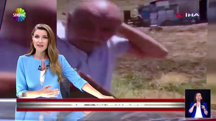 Arılar bin pişman etti!