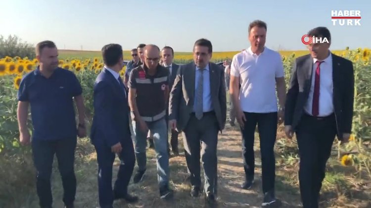 Tarım ve Orman Bakan Yardımcısı Pakdil: "Edirne ve Kırklareli'nde çayır tırtılı sorununu hemen hemen bitti diyebiliriz"