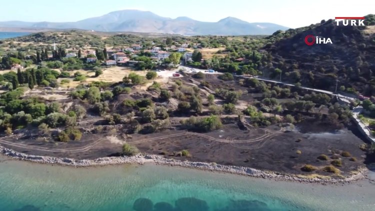 Çeşme'de yanan alan havadan görüntülendi