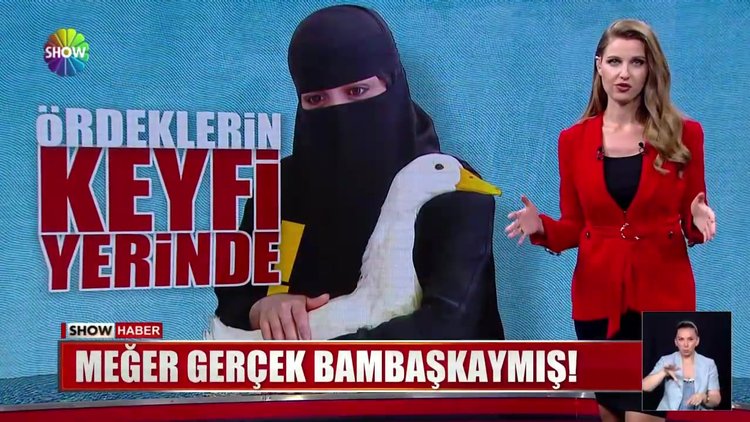 Ördeklerin keyfi yerinde!