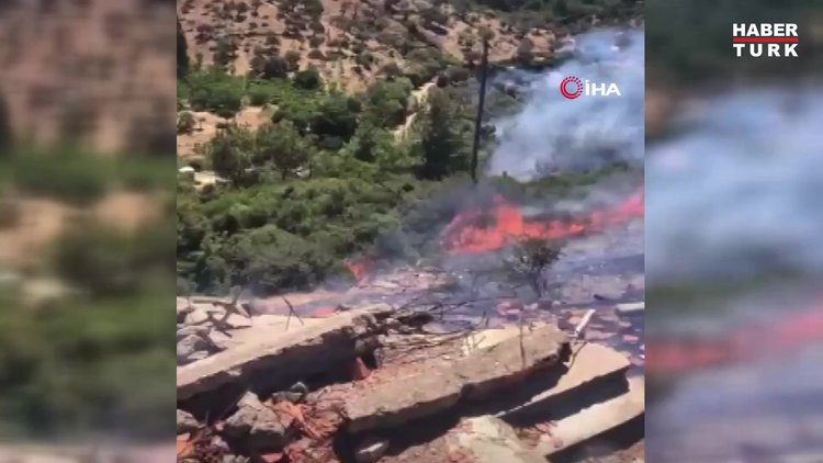 Seferihisar'da orman yangını