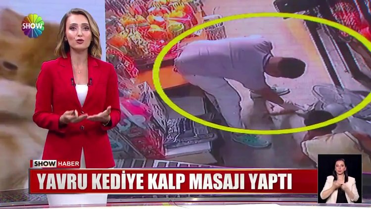 Yavru kediye kalp masajı yaptı