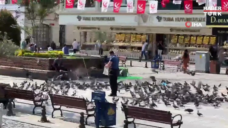 Sultanbeyli'de her gün güvercinleri besleyen polisin görüntüleri yürek ısıttı