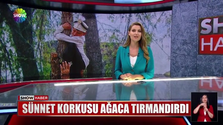 Sünnet korkusu ağaca tırmandırdı
