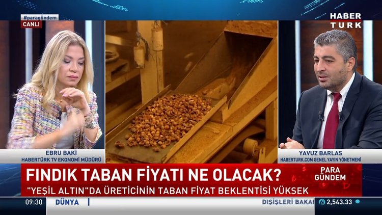 Fındık taban fiyatı ne olacak? Cumhurbaşkanı hafta sonu açıklayacak!