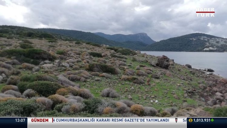 Bodrum Cennet Koyu'nda neler oluyor?