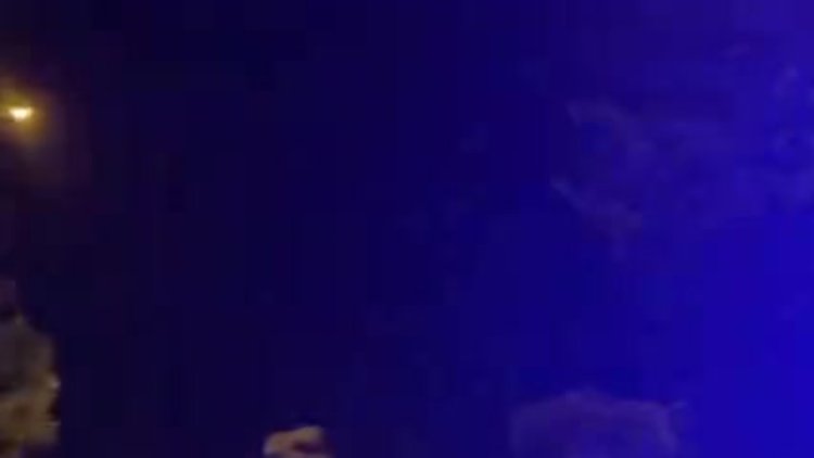 Otomobil ile bariyere çarpan motosikletin alkollü sürücüsü ve arkadaşı yaralandı