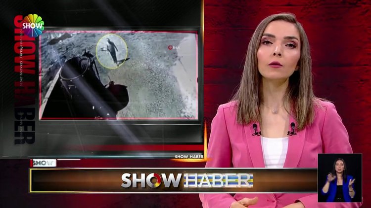 Tamire gitti, köpek saldırdı