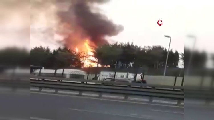 Edirnekapı'da ağaçlık alanda yangın