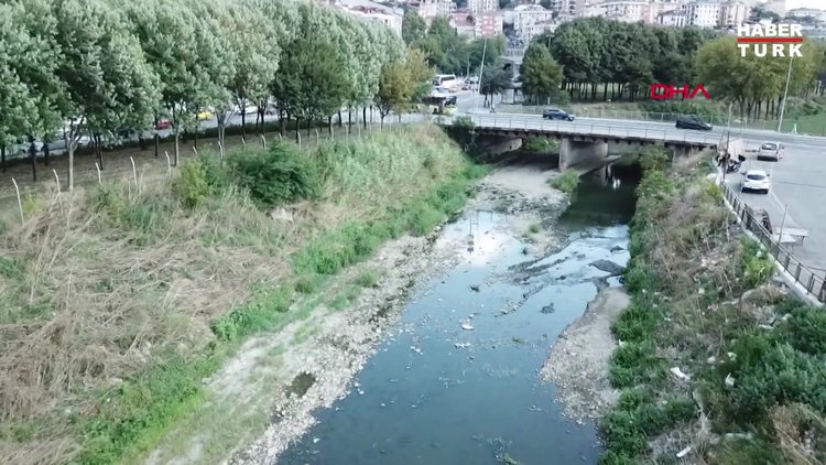 Alibeyköy Deresi'nde balık ölümleri