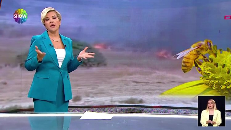 Arı kovanları alev alev yandı!