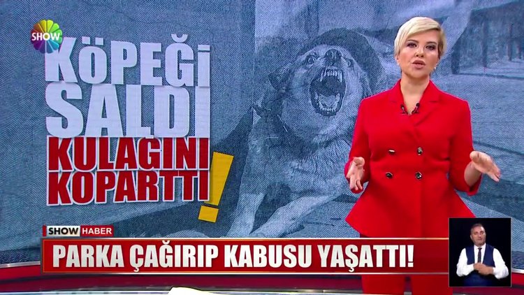 Köpeği saldı kulağını koparttı!