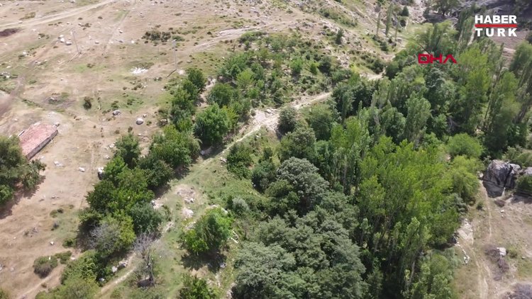 Boş araziyi 500 ağaçlı meyve bahçesine çevirdi!