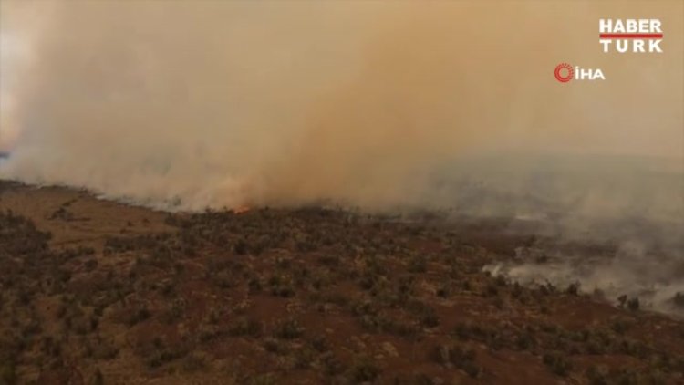 Hawaii'de çalılık alanda yangın: 9 bin 800 hektar alan kül oldu