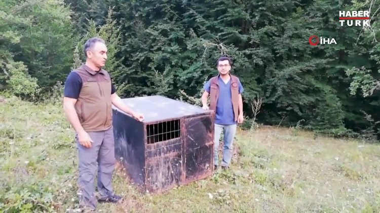 Bakan Kirişci: "Tedavisi tamamlanan 'Balkız' yuvasına döndü"