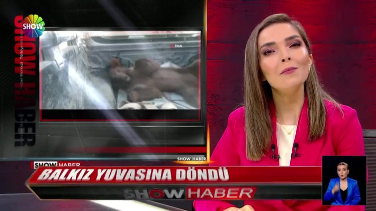 Balkız yuvasına döndü