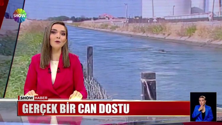 Boğuluyor sandı, yardıma koştu