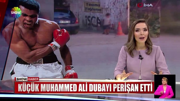 Küçük Muhammed Ali dubayı perişan etti