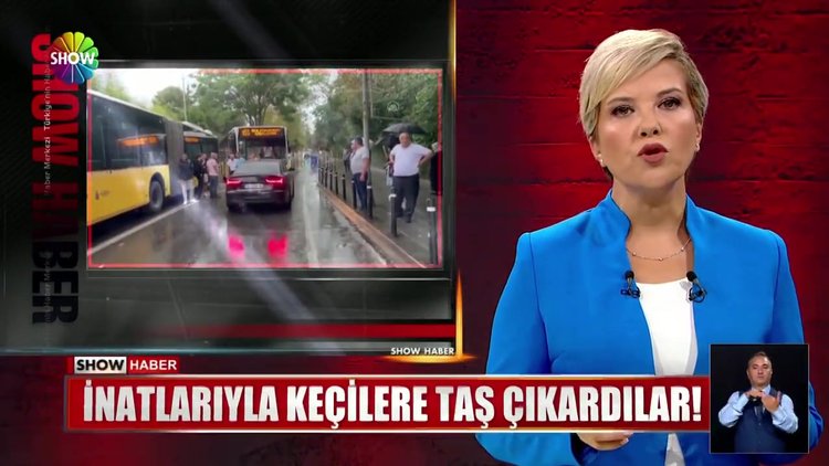 İnatlarıyla keçilere taş çıkardılar!