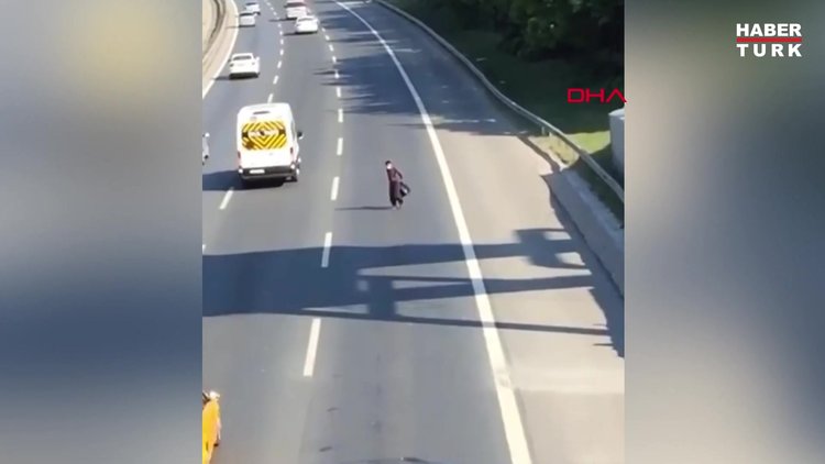 TEM'in ortasına çıktı, kazaya sebep oldu!