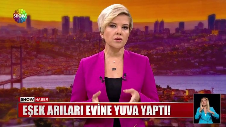 Eşek arıları evine yuva yaptı!