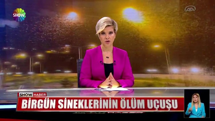 Birgün sineklerinin ölüm uçuşu