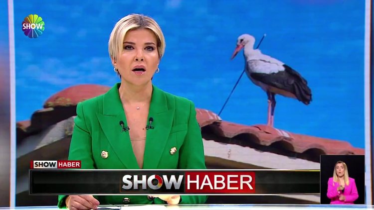 Leyleği okla boynundan vurdular!