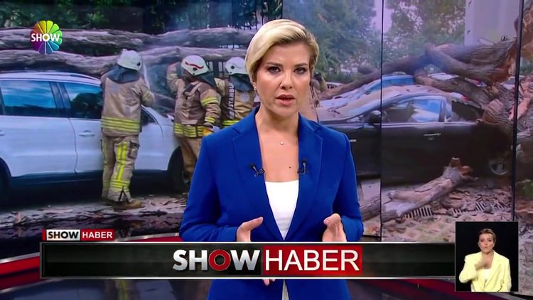 150 yıllık koca çınar devrildi!