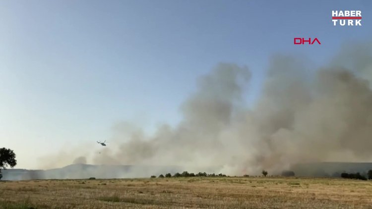 Manisa'da orman yangını