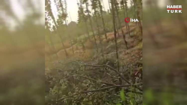 Şehir içi otobüs arıza yapan kamyonete çarptı: 21 yaralı