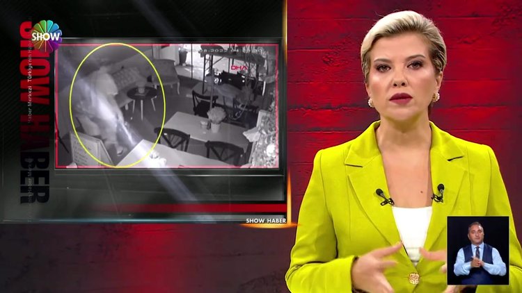 Çiçekleri söktü, camlara vurdu