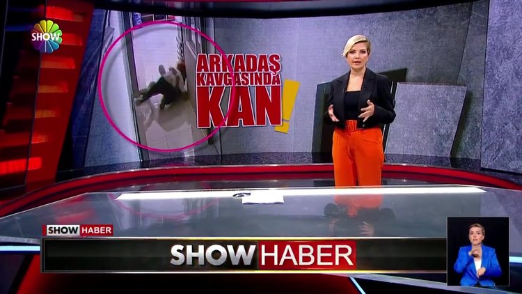 Veteriner kliniğini birbirine kattılar!