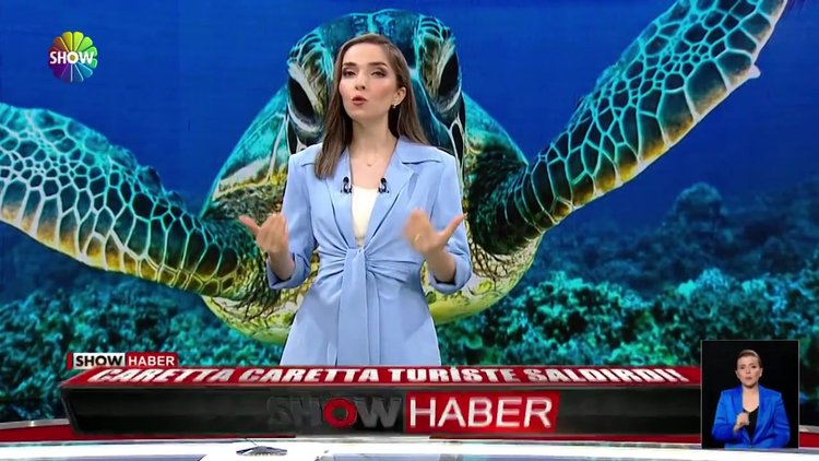Caretta caretta turiste saldırdı!