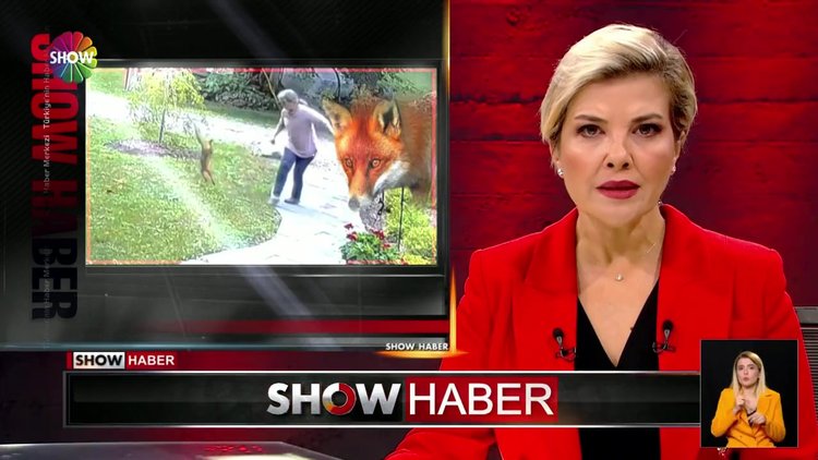 Kuduz tilkinin saldırısına uğradı