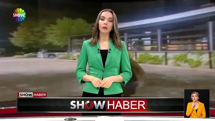 Dünya bu ırkçı kadını konuşuyor!