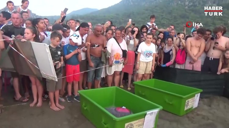 2019 yılında sırtındaki yara için tedavi edilen caretta caretta 3 yılda 17 bin 500 Km yol kat etti