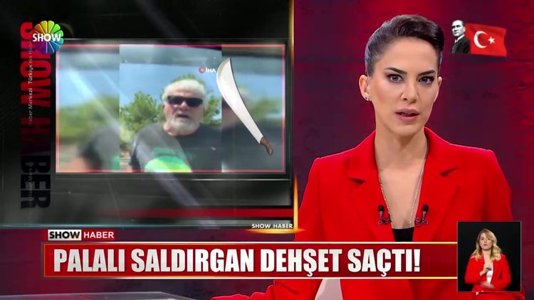 Palalı saldırgan dehşet saçtı!