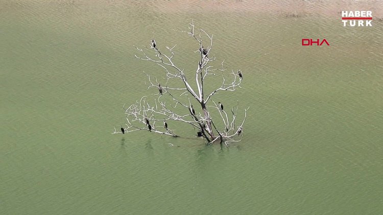 Oltu Çayı'nda kaybolan babayı arama çalışmaları 120'nci gününde sonlandırıldı