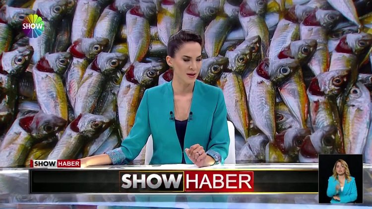 Palamut bereketi yüzleri güldürdü