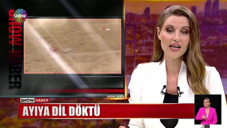 Ayıya dil döktü