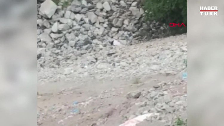 Sürücü manzarayı fotoğraflarken uçuruma yuvarlanan cipteki kadın turist öldü