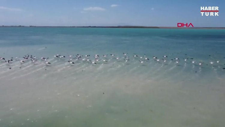 Kuş cenneti Arin Gölü kuruyor