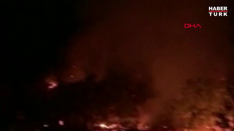 Tunceli'de Munzur Vadisi Milli Parkı´nda orman yangını