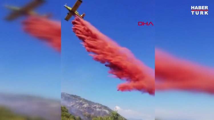 Demre'de orman yangını