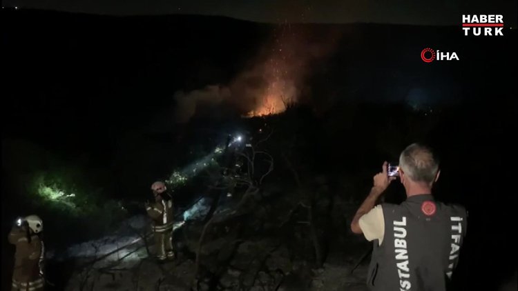 Arnavutköy'de orman yangını