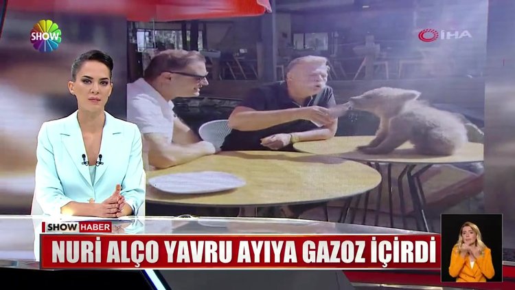 Nuri Alço yavru ayıya gazoz içirdi