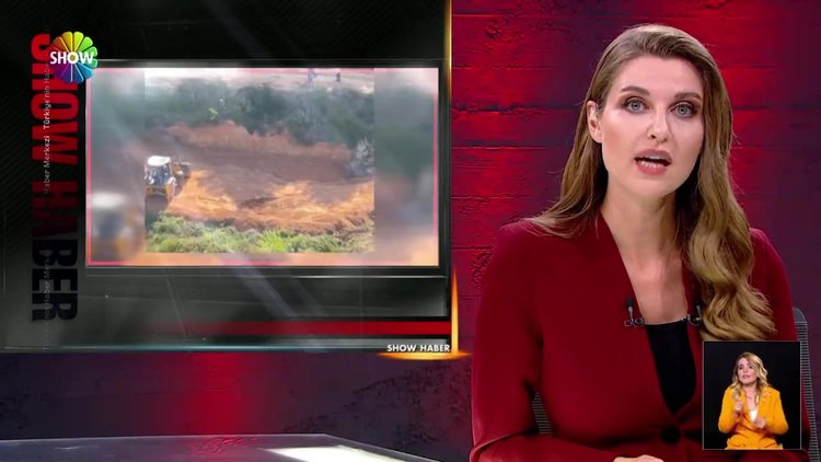 ''Ağaçlar kesiliyor'' iddiası tansiyonu yükseltti