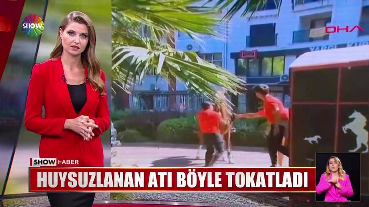 Huysuzlanan atı böyle tokatladı